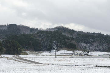 雪景色
