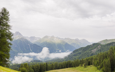 Ftan, Engadin, Unterengadin, Motta Naluns, Wanderweg, Panoramaweg, Alpen, Graubünden, Sommer, Schweiz 