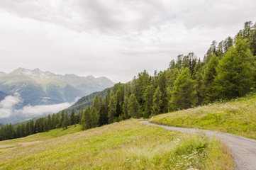 Ftan, Wanderweg, Flurinaweg, Panoramaweg, Engadin, Unterengadin, Wanderferien, Alpen, Graubünden, Sommer, Nationalpark, Schweiz