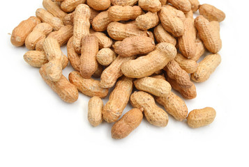 Peanut on white background