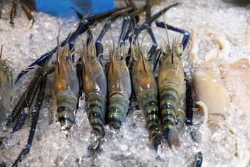 fresh shrimps in local market