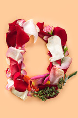 Letter D made from red roses and petals isolated on a white background