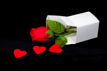 Red rose in white paper box ,Valentine concept.