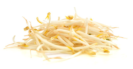Bean Sprouts on White Background