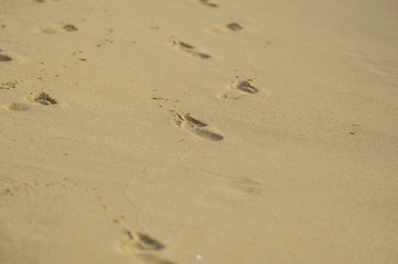 Fototapeta na wymiar footprint on the beach