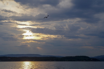 Sunset