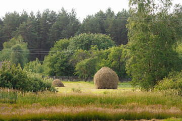 stog hay