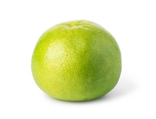 Grapefruit citrus fruit