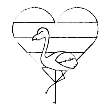 flamingo and heart love with color rainbow vector illustration sketch design