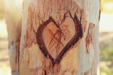 Photo of old tree trunk with heart carved on it. Valentine's day concept. Romantic background.