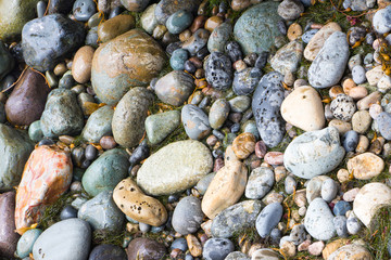 Wet stone background