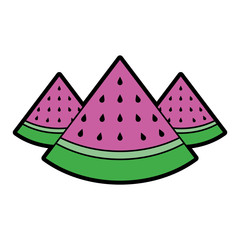 three slice watermelon fruit tropical vector illustration