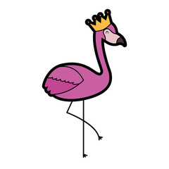 flamingo crown bird exotic image vector illustration