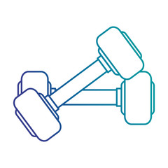 weight lifting gym devices vector illustration design