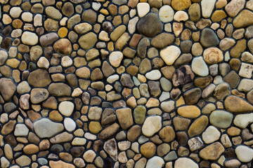 wall of sea stones