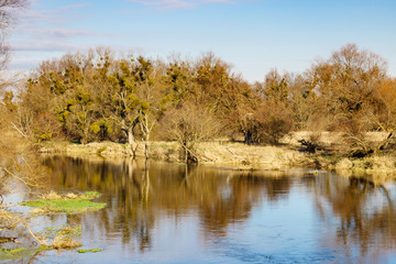 Fototapeta na wymiar Shore of a small river in the autumn day. Autumn landscape