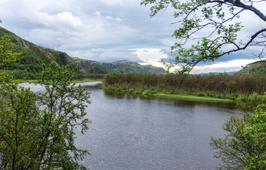 The characteristic landscape of the Arctic tundra in summer, Finnmark,