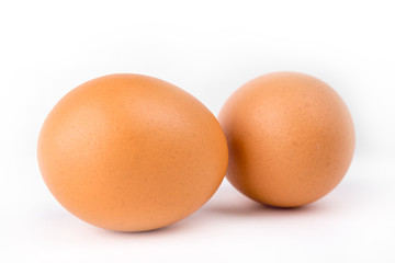 eggs on white background