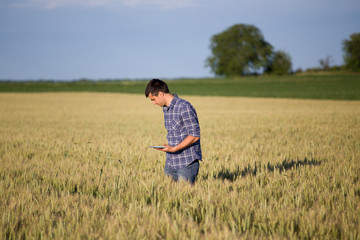 Farmer with tablet in wheat field