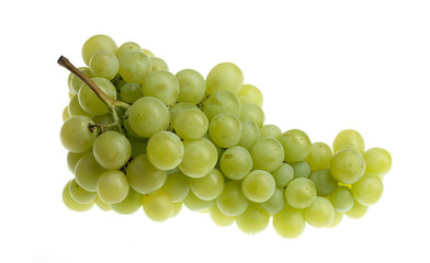 green grapefruit on white background