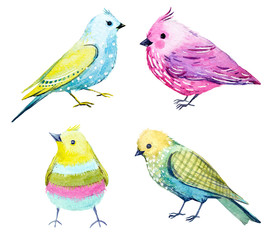 Watercolor bird set