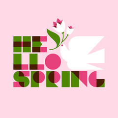 Hello spring lettering and white dove with flower on pink background