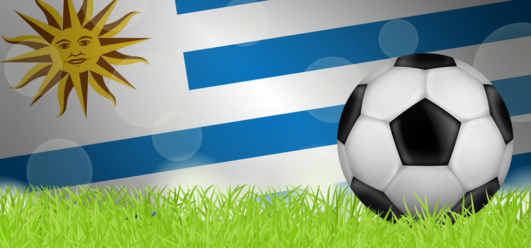 Fußballwiese - Flagge von Uruguay