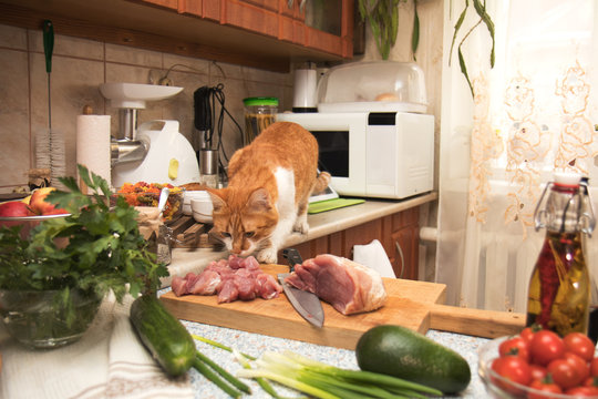 Cute red cat stealing meat from the kitchen table. Small cozy kitchen with household appliances. Cozy home concept