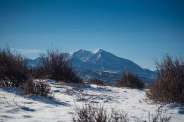 Obraz premium Mount Sopris in the snow