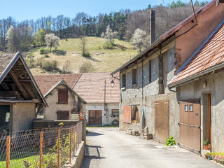 Houses in Chichilianne in France