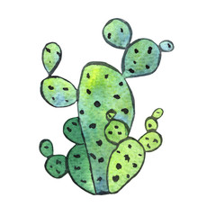 Watercolor hand painted green cactus in green and emerald colors