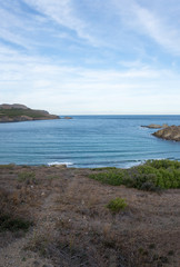 In the port of the jungle, costa brava, Girona