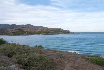 In the port of the jungle, costa brava, Girona