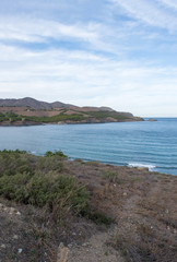 In the port of the jungle, costa brava, Girona