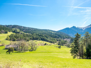 Mountain and forest in countryside