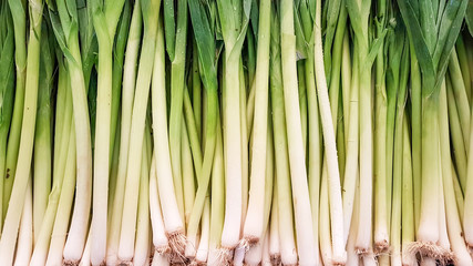 Fresh organic vegetable leek