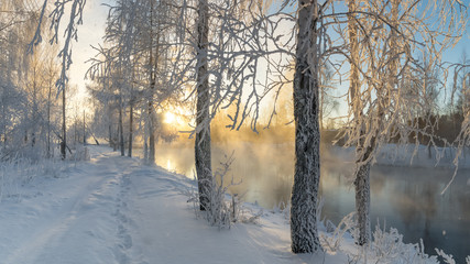 Заснеженный зимний лес с кустами и березами на берегу реки с туманом, Россия, Урал, январь