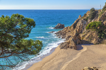Idyllic beach with tuquoise sea and golden beach.
