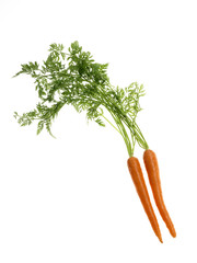 two carrots on white background