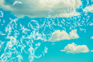 Fototapeta na wymiar metaphysical cloudy turquoise sky with white soft clouds and many feathers
