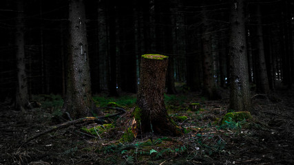 anders als die Anderen