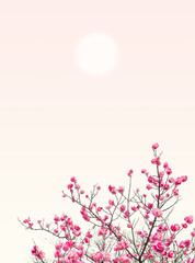 Naklejka na ściany i meble Plum Blossom in early spring. Located in Plum Blossom Hill, Nanjing, Jiangsu, China.