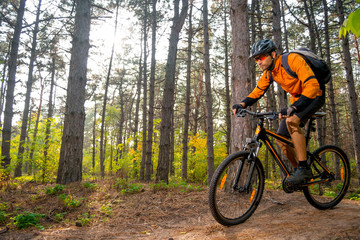 Cyclist in Orange Riding the Mountain Bike on the Trail in the Beautiful Pine Forest Lit by Bright Sun.