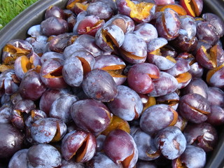 Entkernte Pflaumen