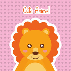 cute animal lion wildlife baby hearts background vector illustration