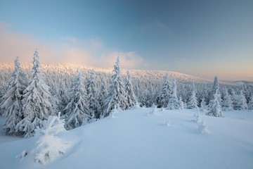 Fototapeta na wymiar Winter landscape at dawn