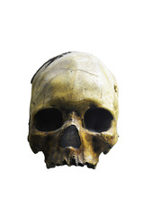 human skull on a white background