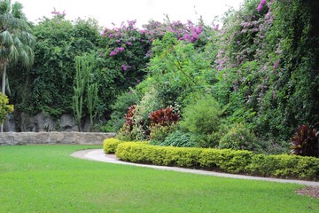  garden with tropical plants and flowers that has a path and stone wall