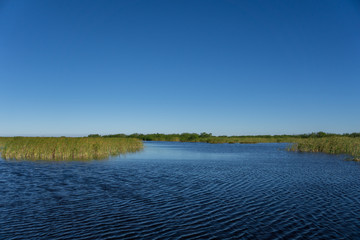 USA, Florida, Water landscape with sawgrass and estuary of everglades