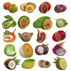 set of exotic (tropical) fruits isolated.